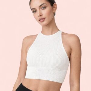 Babaton (Aritzia) Sculpt Knit Crop Top